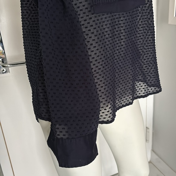 J. Crew Navy Pleated Swiss Dot Tuxedo Sheer Blouse - Picture 5 of 9